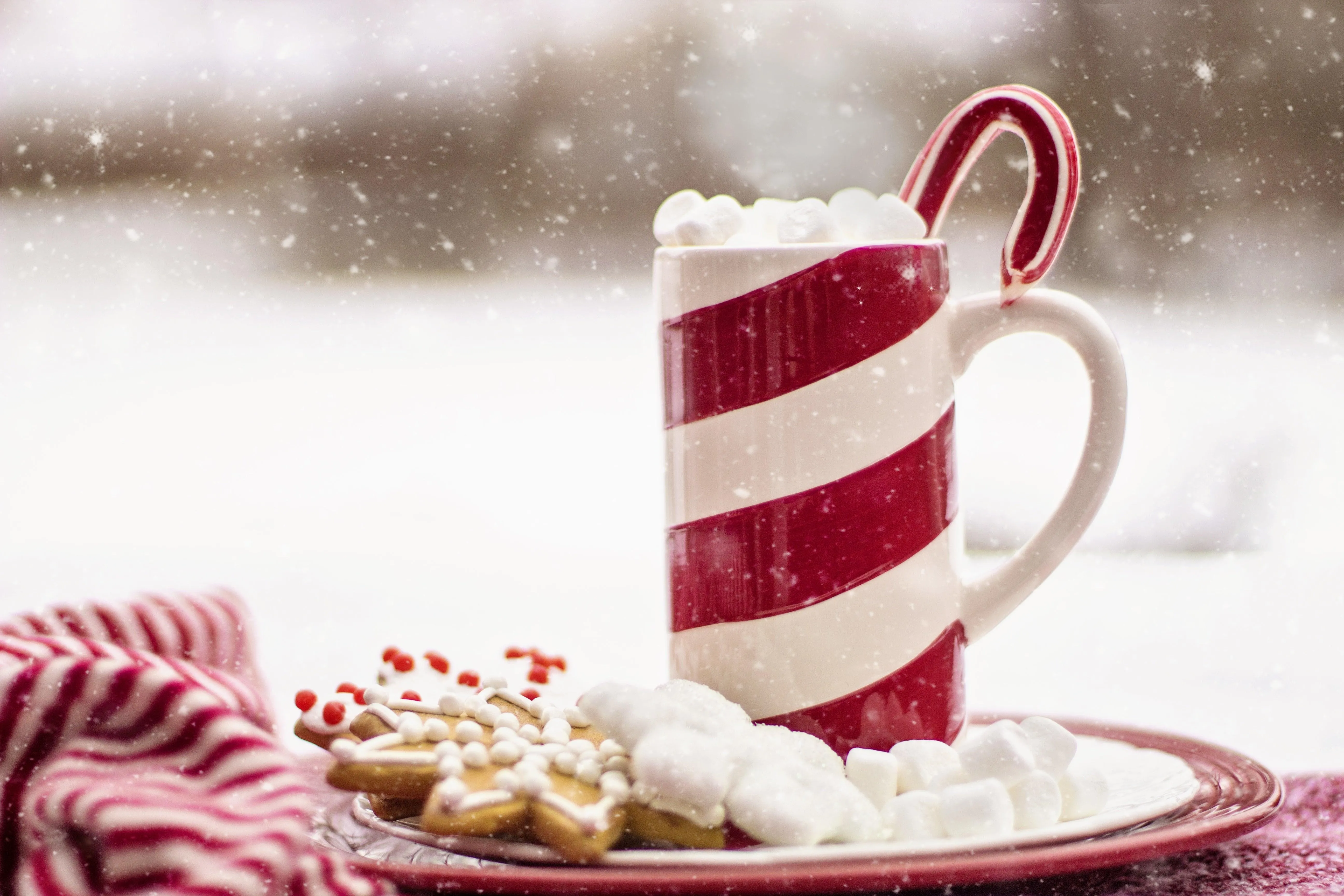 Christmas Gift Card - | Athleticum