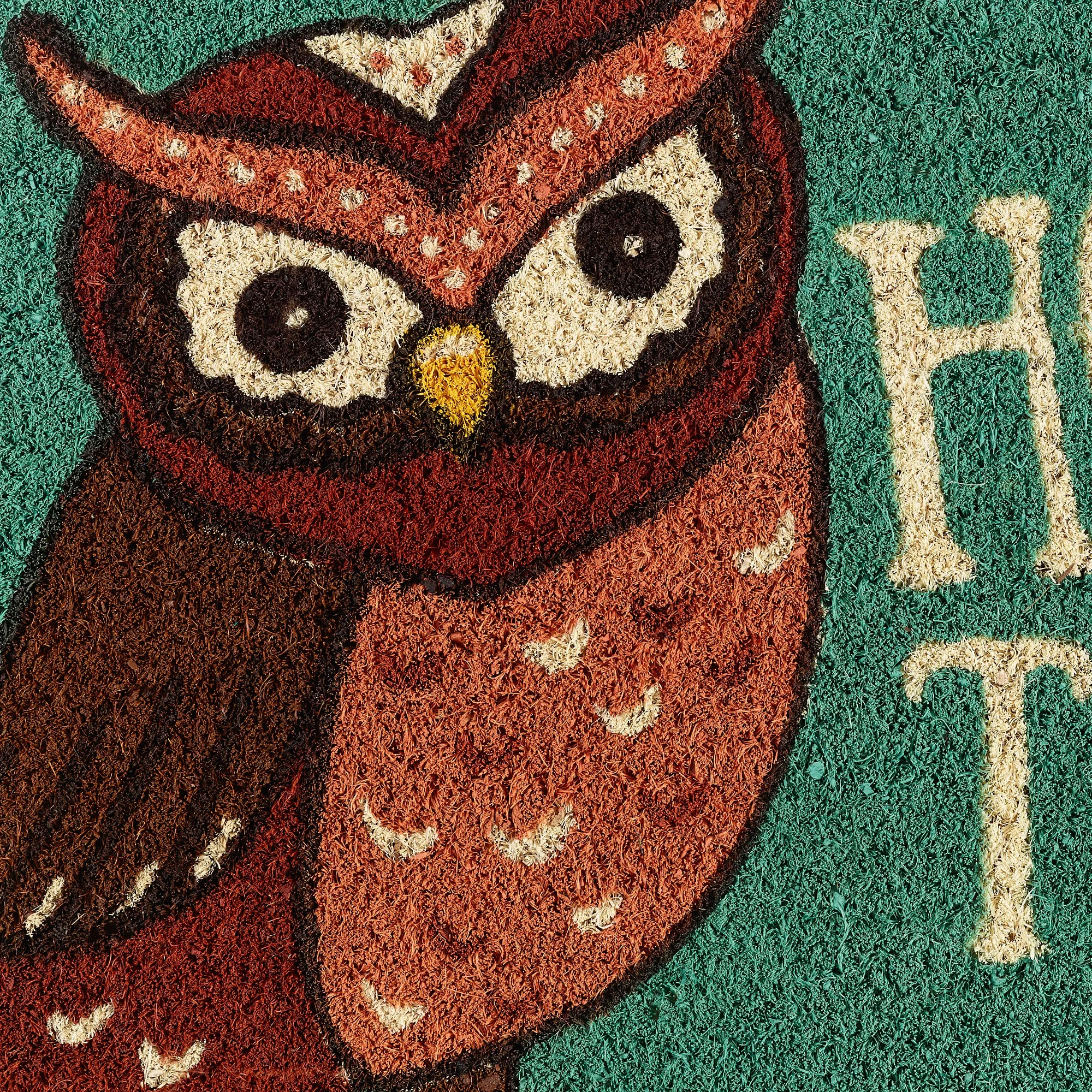 Hoots There Doormat