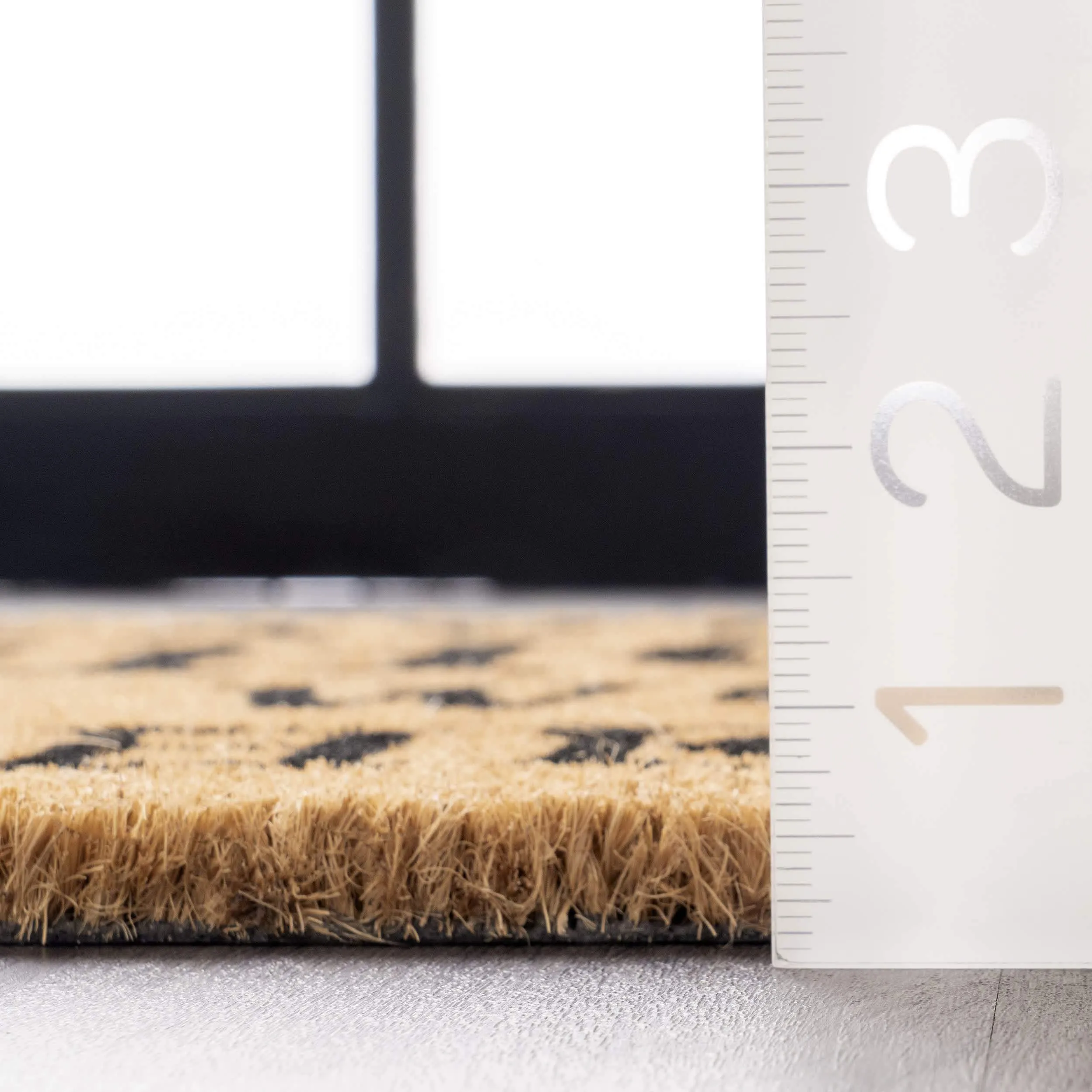 Leave Shoes and Worries Coir Doormat