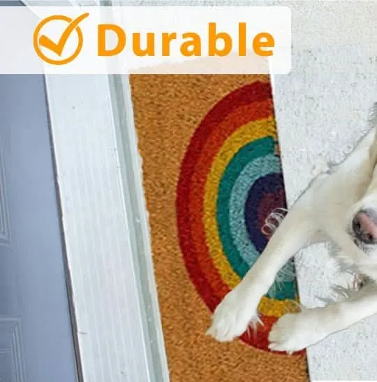 Novelty Rainbow Welcome Doormat