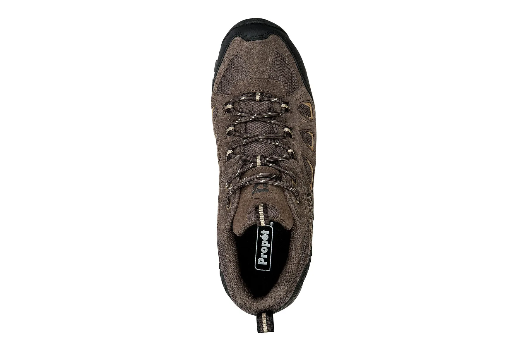 Ridge Walker Low